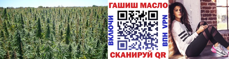 мега ссылки  Рошаль  Дистиллят ТГК гашишное масло 