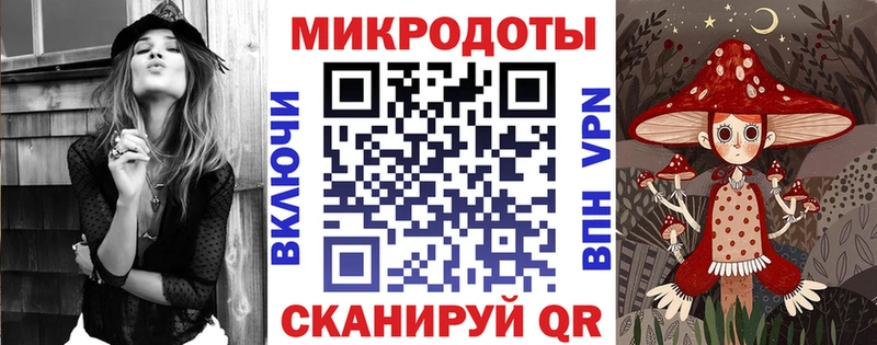 mega ссылки  Рошаль  Галлюциногенные грибы мицелий 